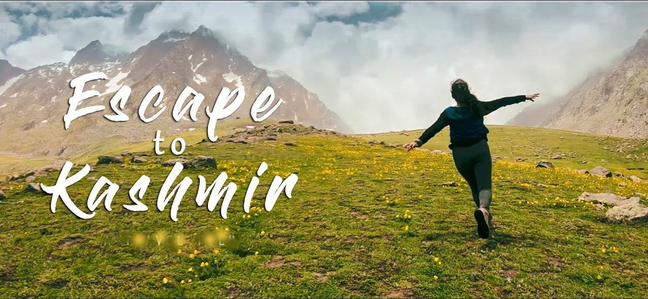 foriegn-tourist-inkashmir
